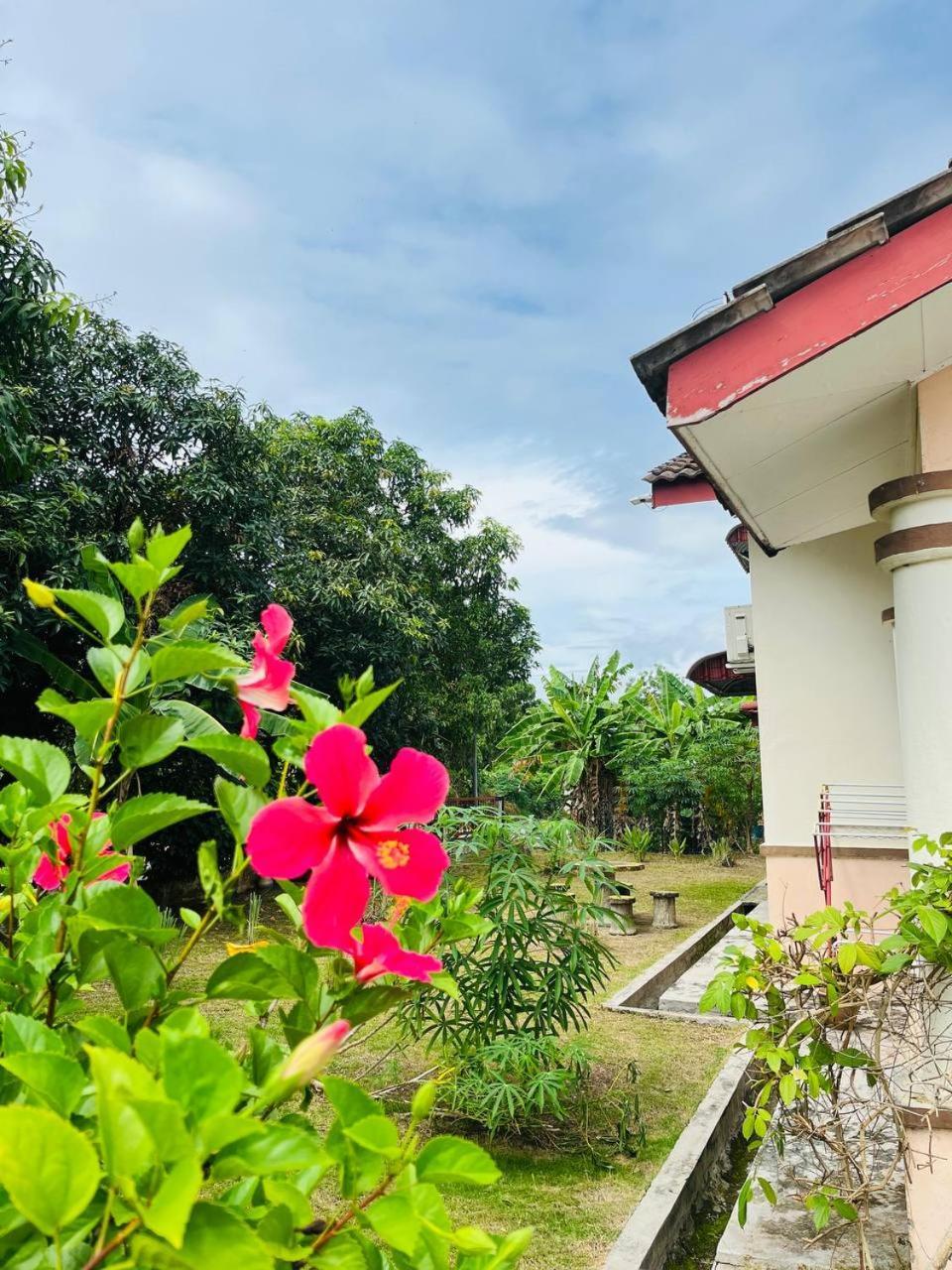 Sofea Homestay イポー エクステリア 写真